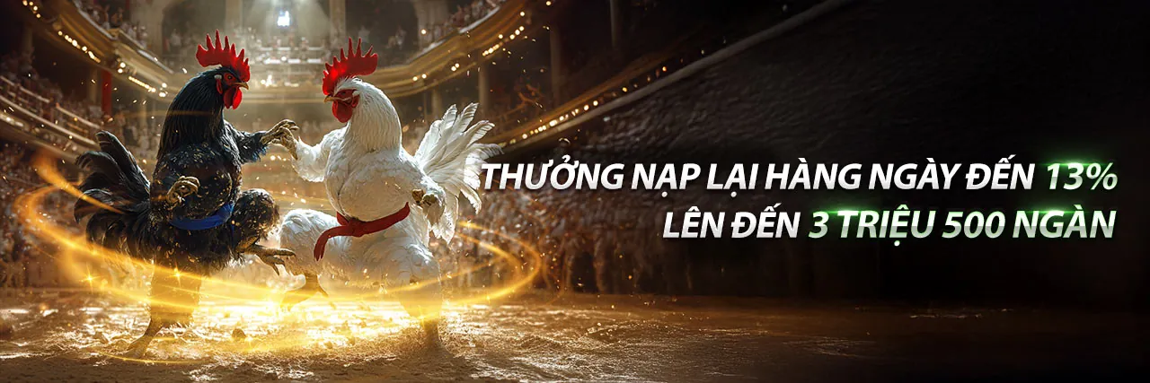 Đá gà trực tuyến t4wbet
